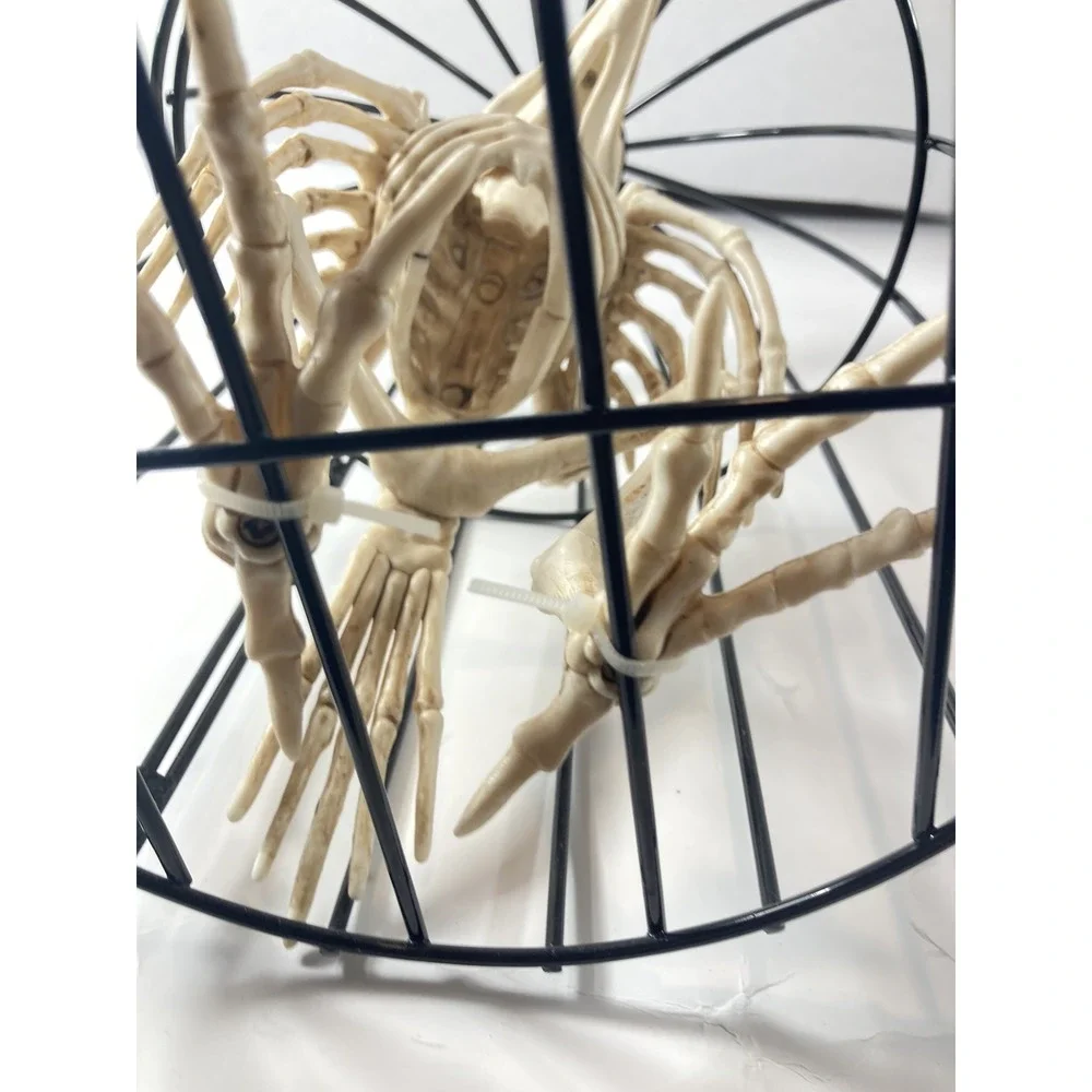 Skeleton Crow in Cage Prop Bird Bones Plastic Halloween Decoration